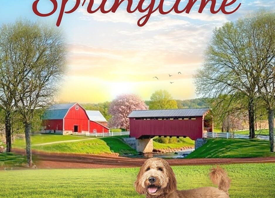 Second Chance Springtime