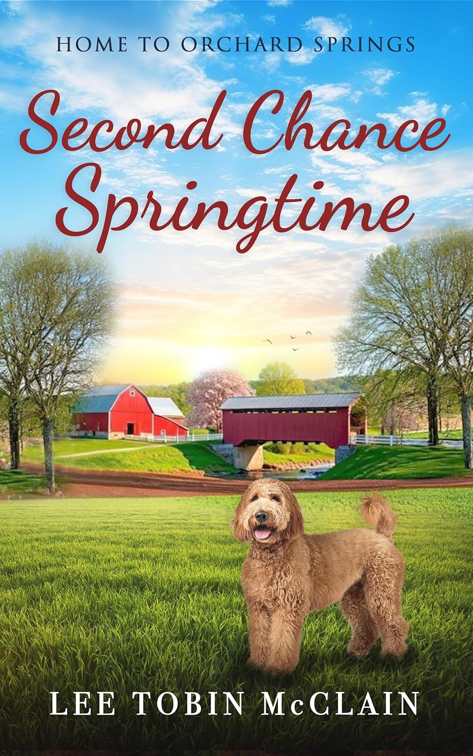 Second Chance Springtime by Lee Tobin McClain