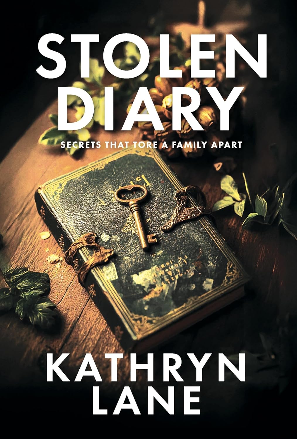 Stolen Diary by Kathryn Lane