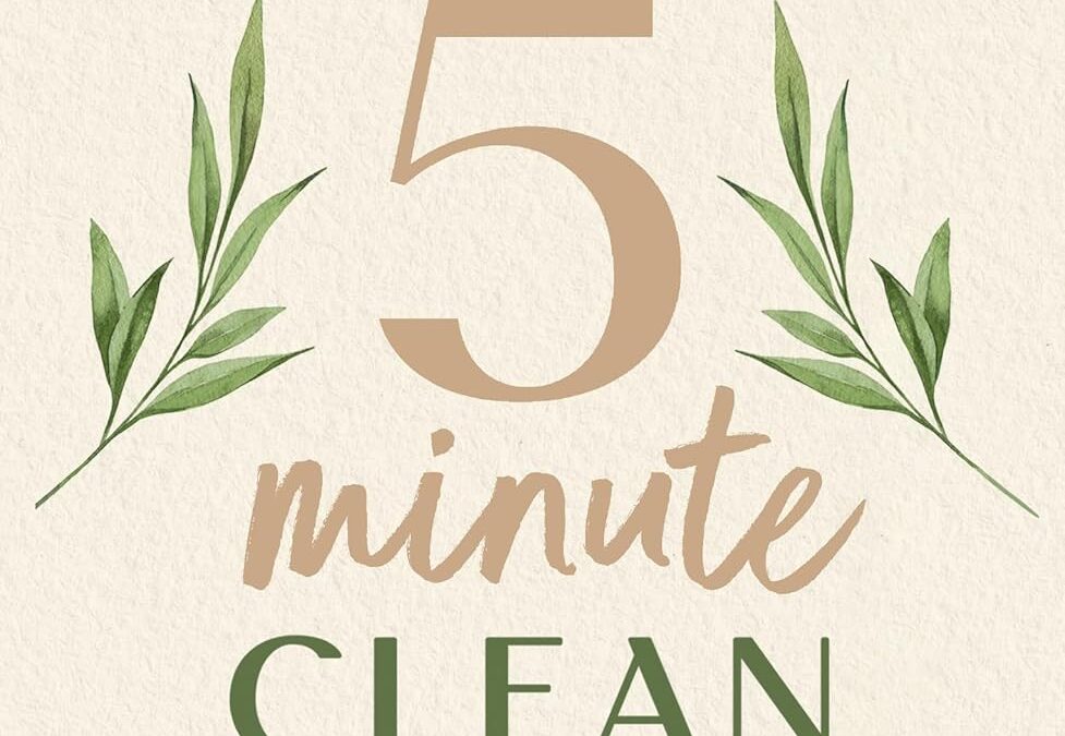 The 5 Minute Clean Routine