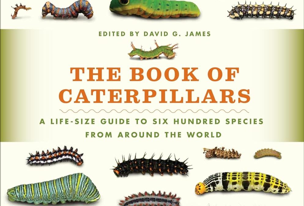 The Book of Caterpillars