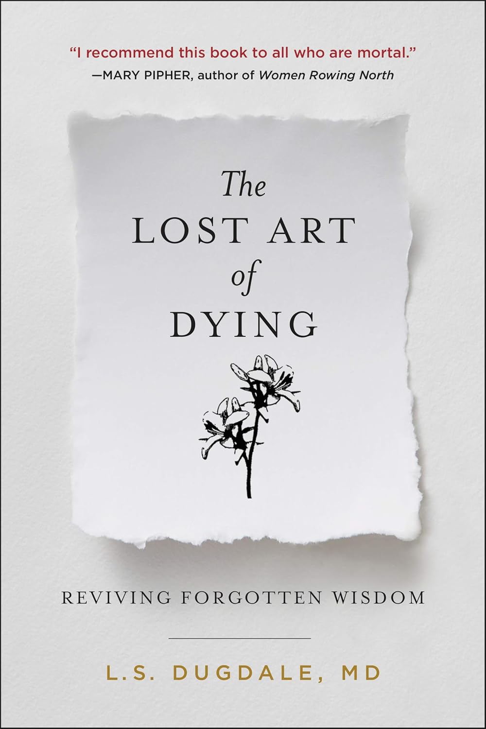 The Lost Art of Dying by L.S. Dugdale