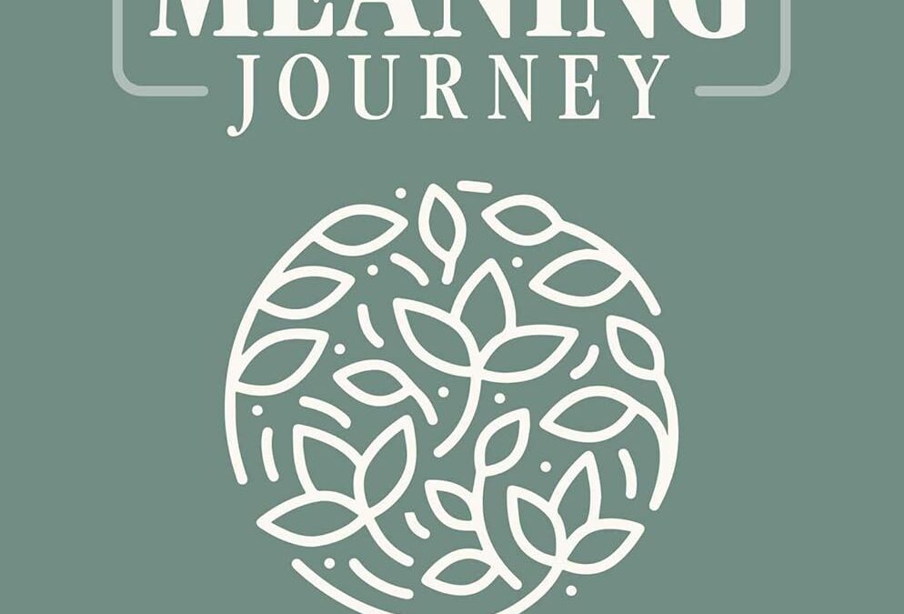 The Money & Meaning Journey