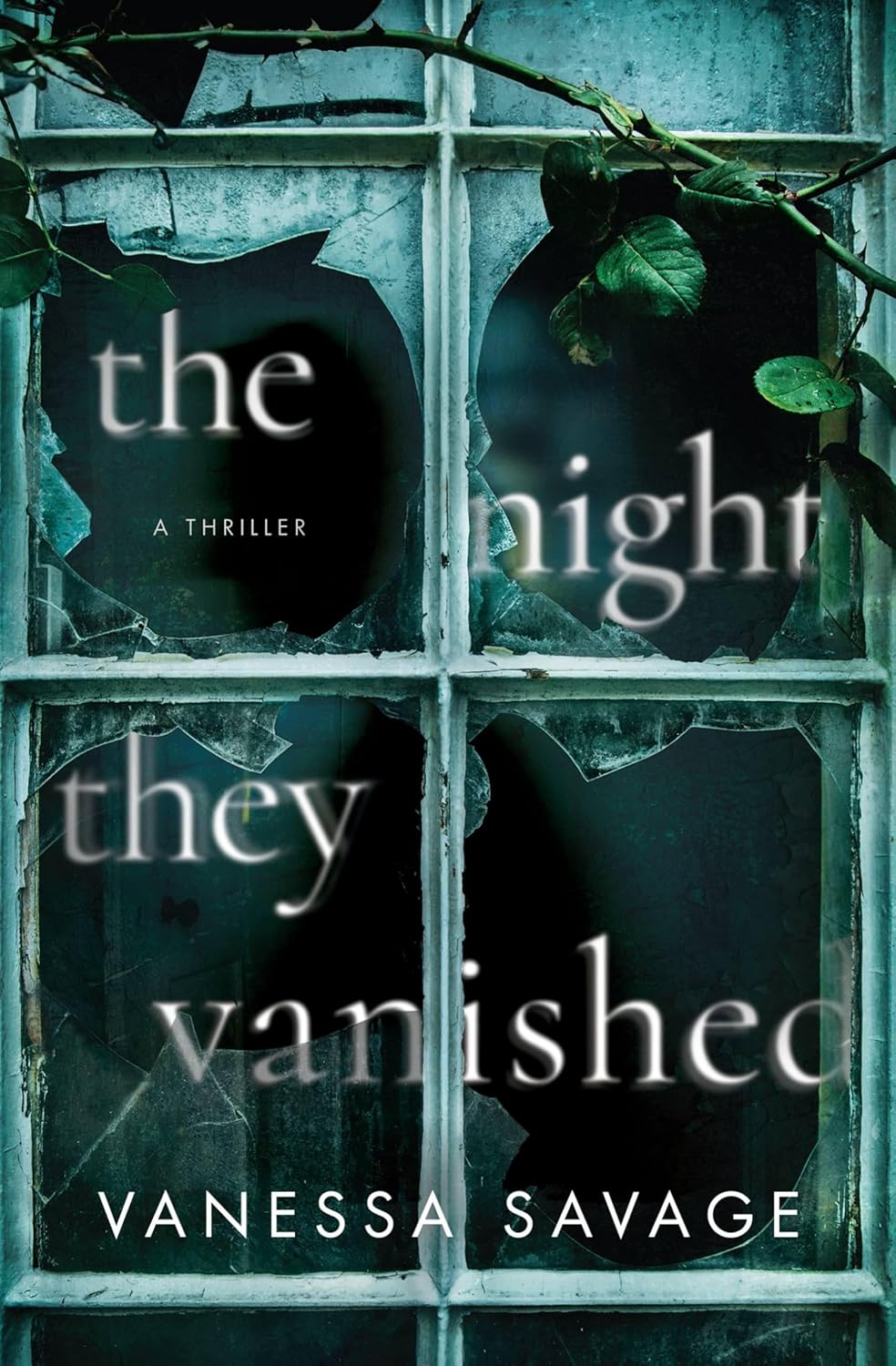 The Night They Vanished by Vanessa Savage