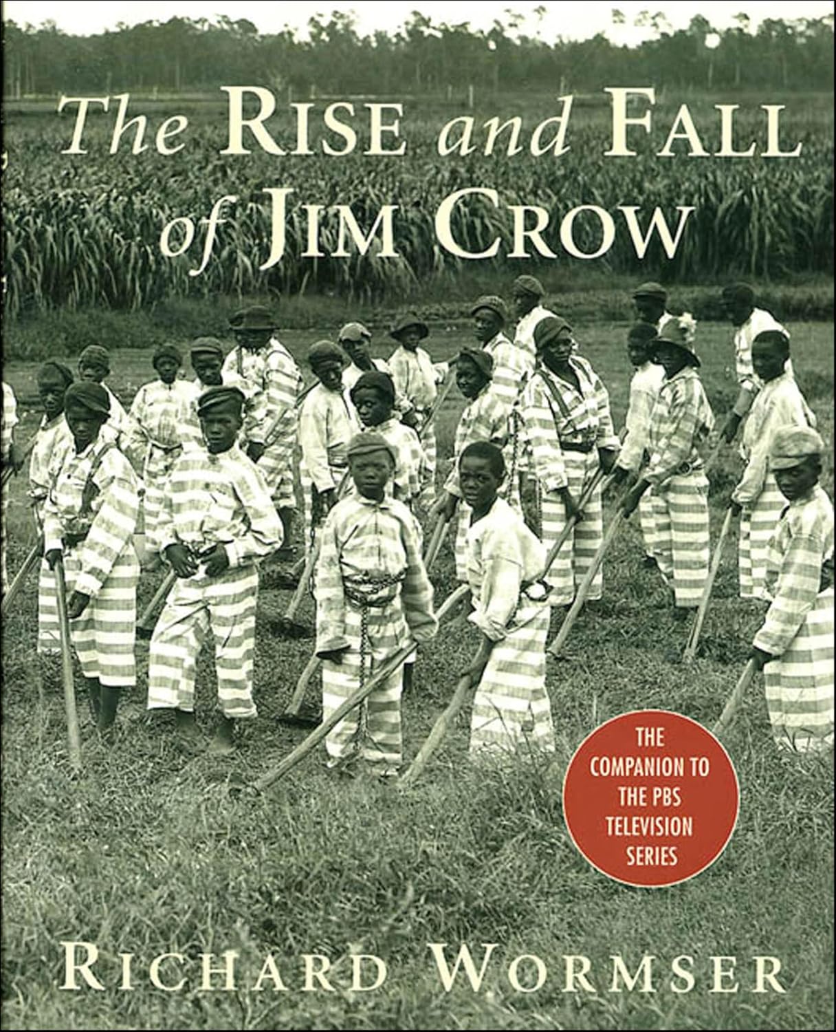 The Rise and Fall of Jim Crow by Richard Wormser