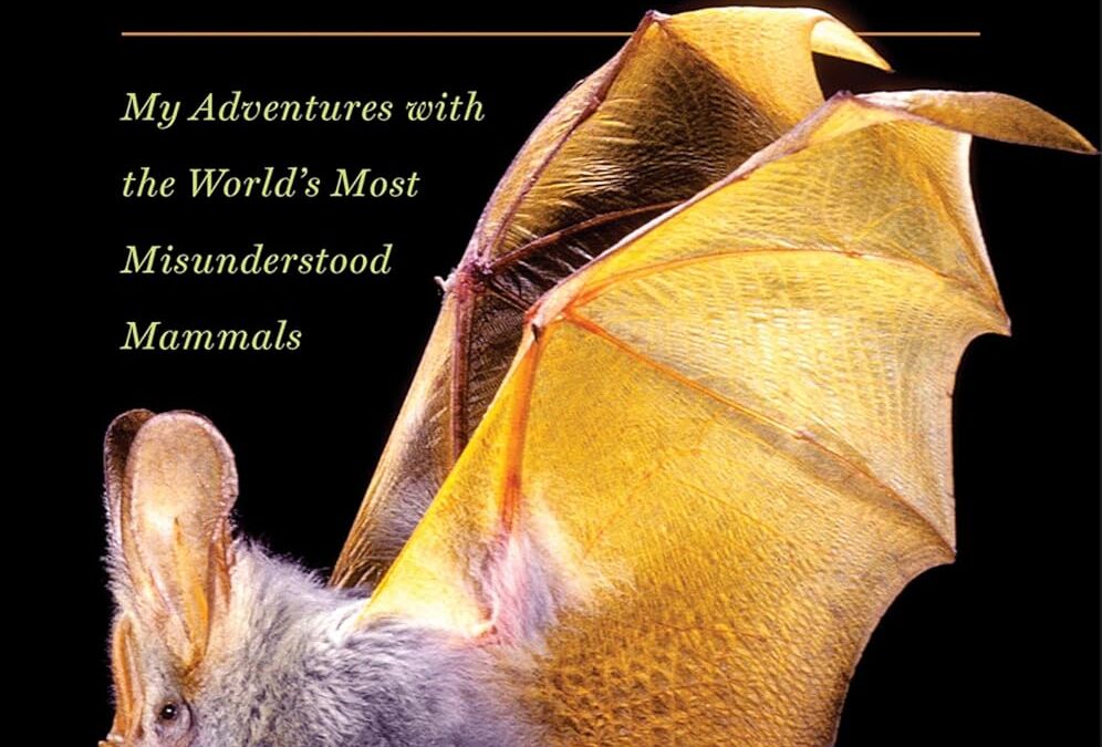 The Secret Lives of Bats