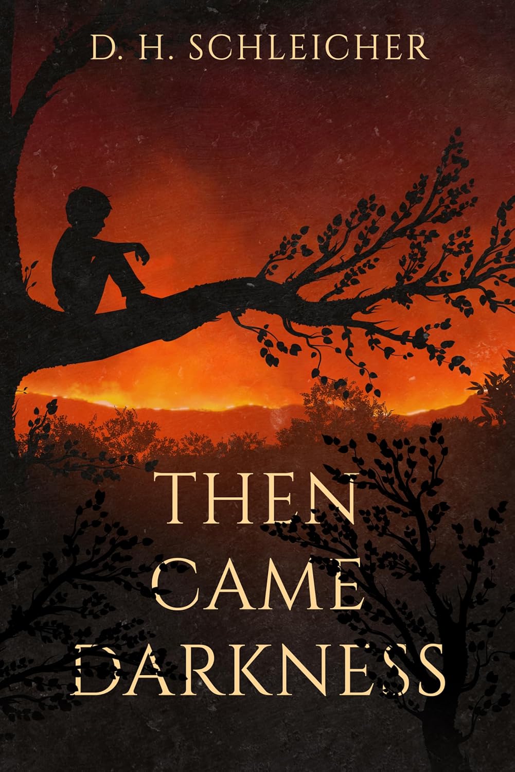 Then Came Darkness by D. H. Schleicher