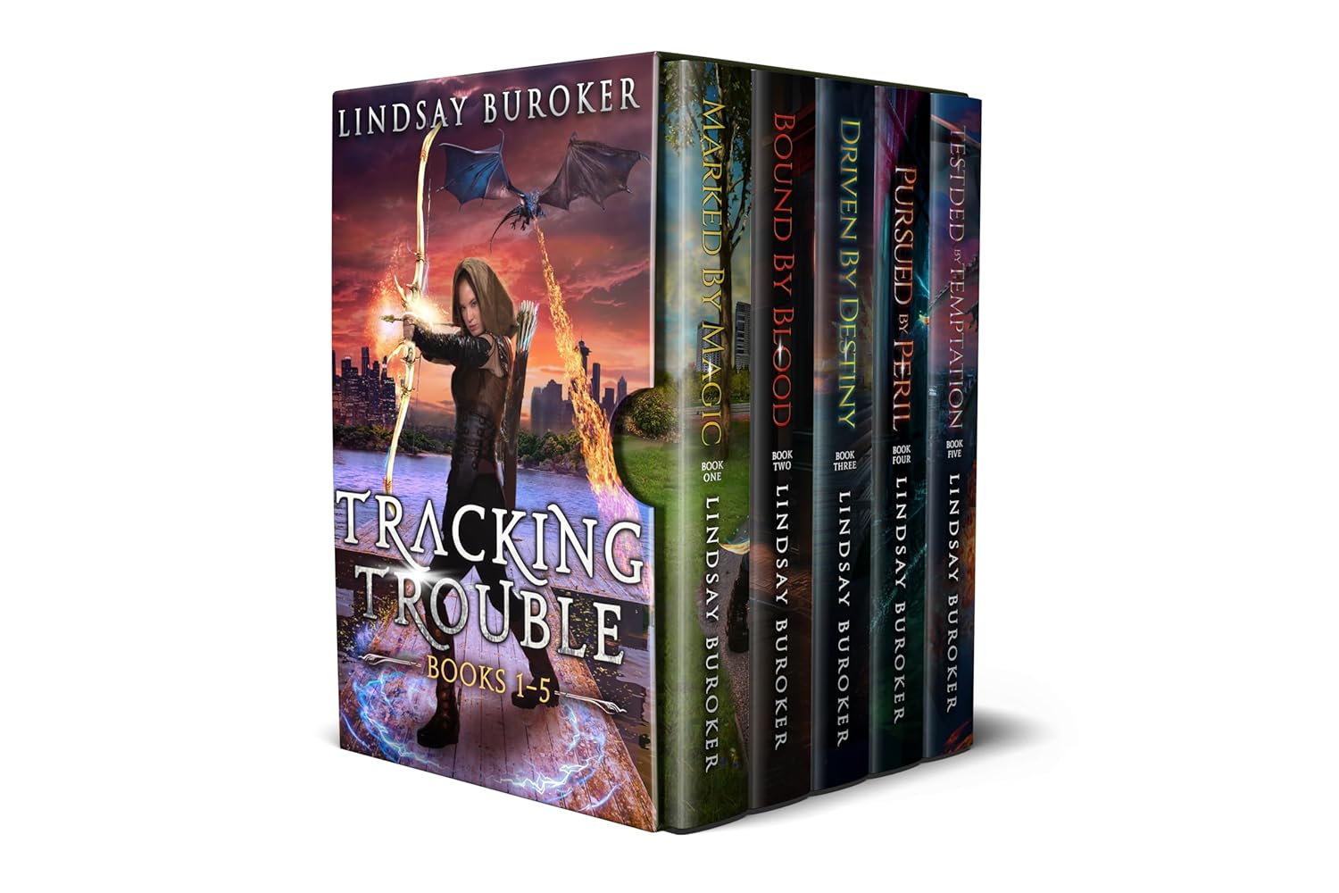Tracking Trouble (Books 1–5) by Lindsay Buroker