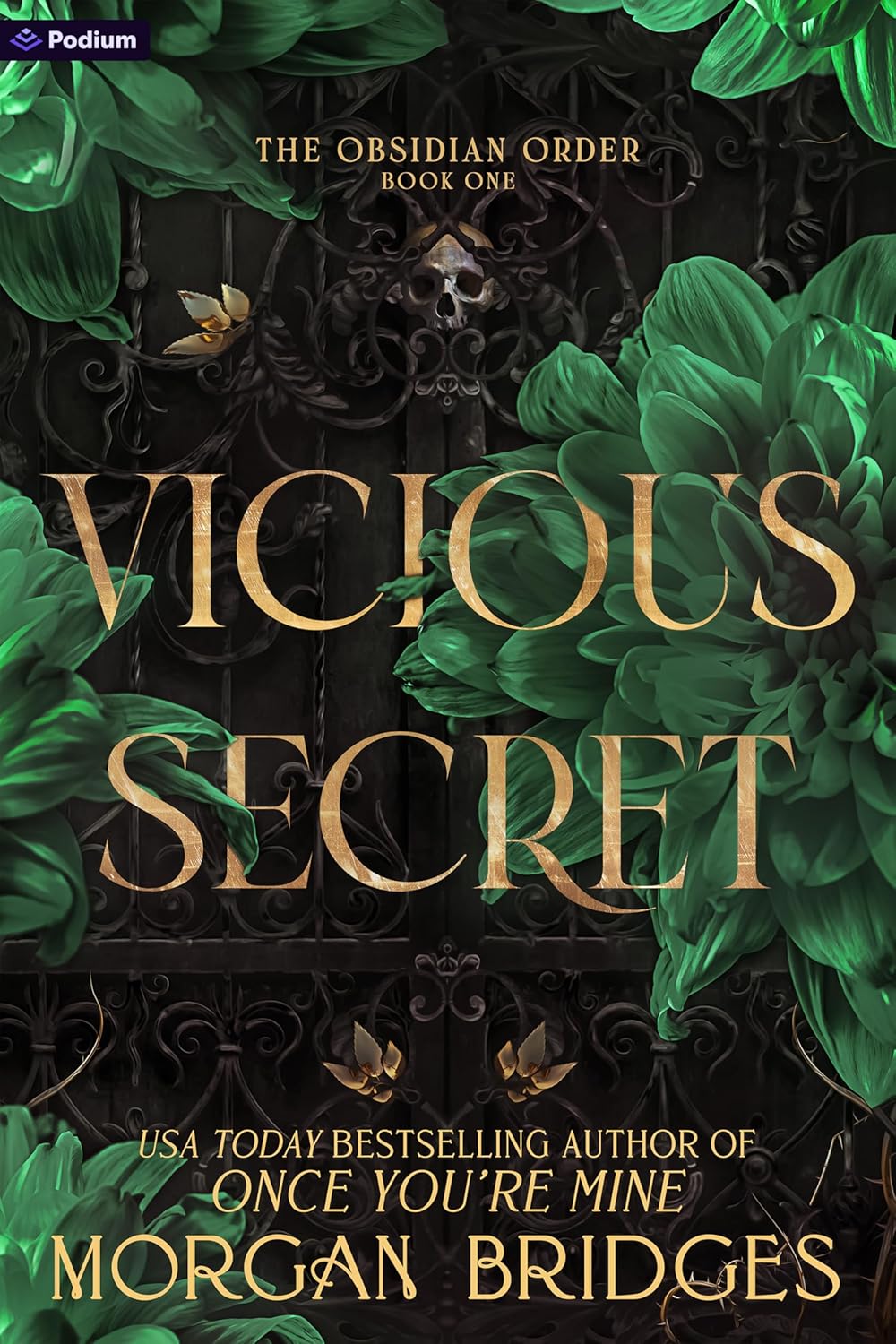 Vicious Secret by Morgan Bridges