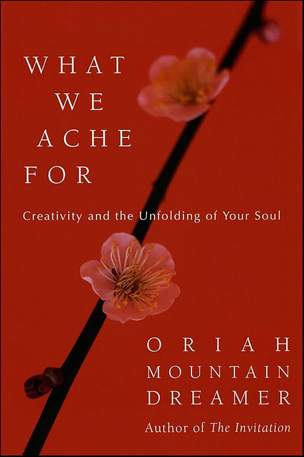 What We Ache For by Oriah Mountain Dreamer