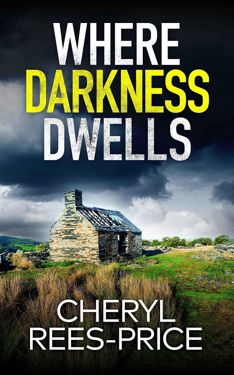 Where Darkness Dwells by Cheryl Rees-Price