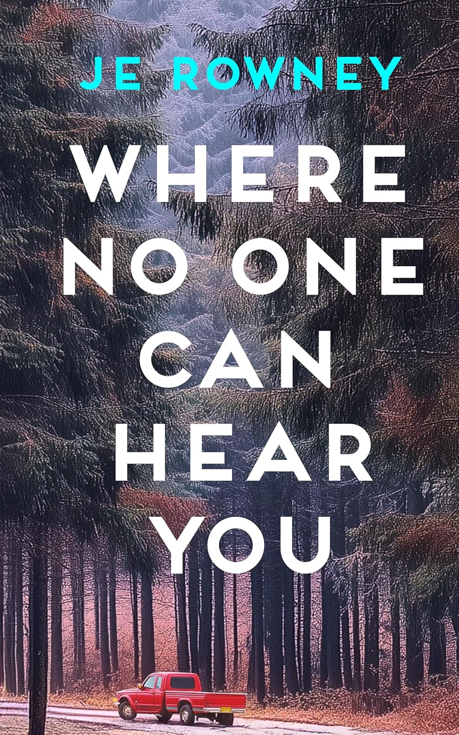 Where No One Can Hear You by J.E. Rowney