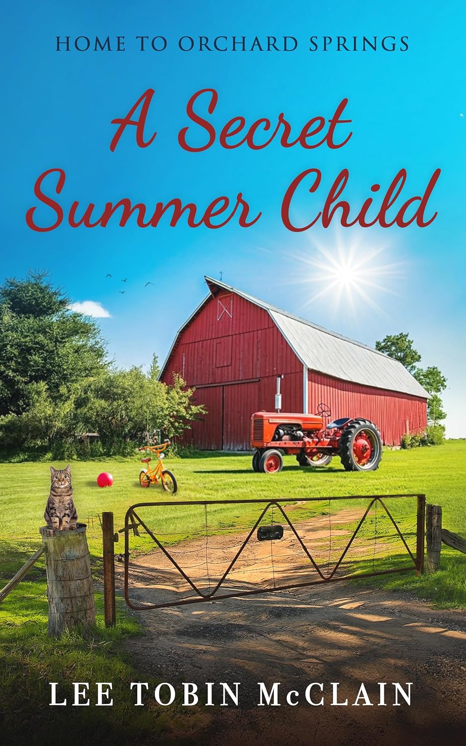 A Secret Summer Child by Lee Tobin McClain