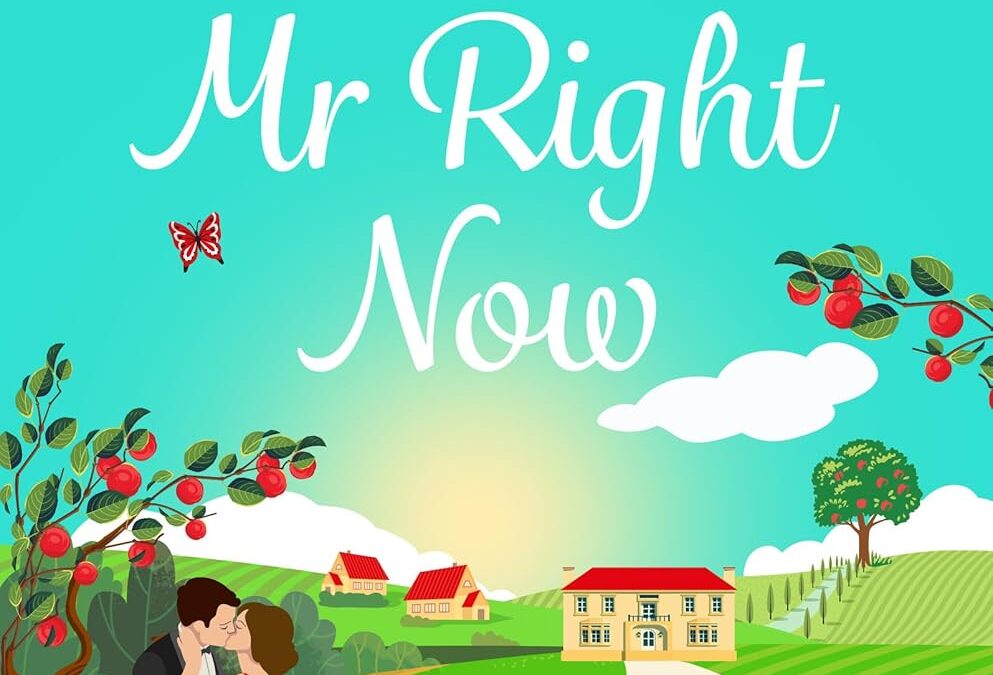 Mr Right Now