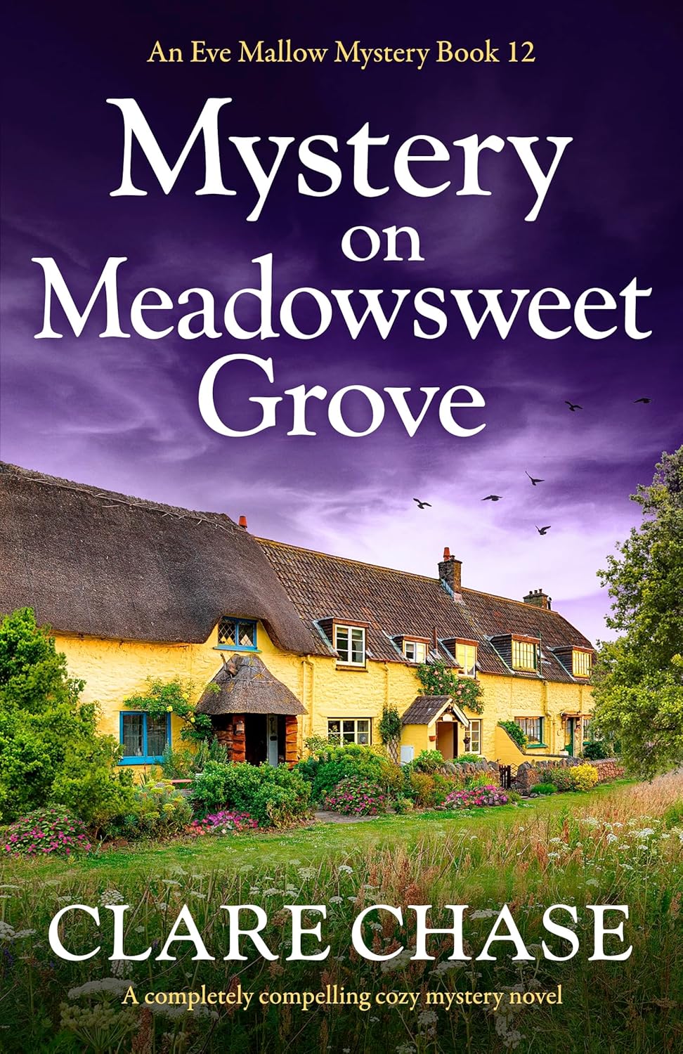 Mystery on Meadowsweet Grove by Clare Chase
