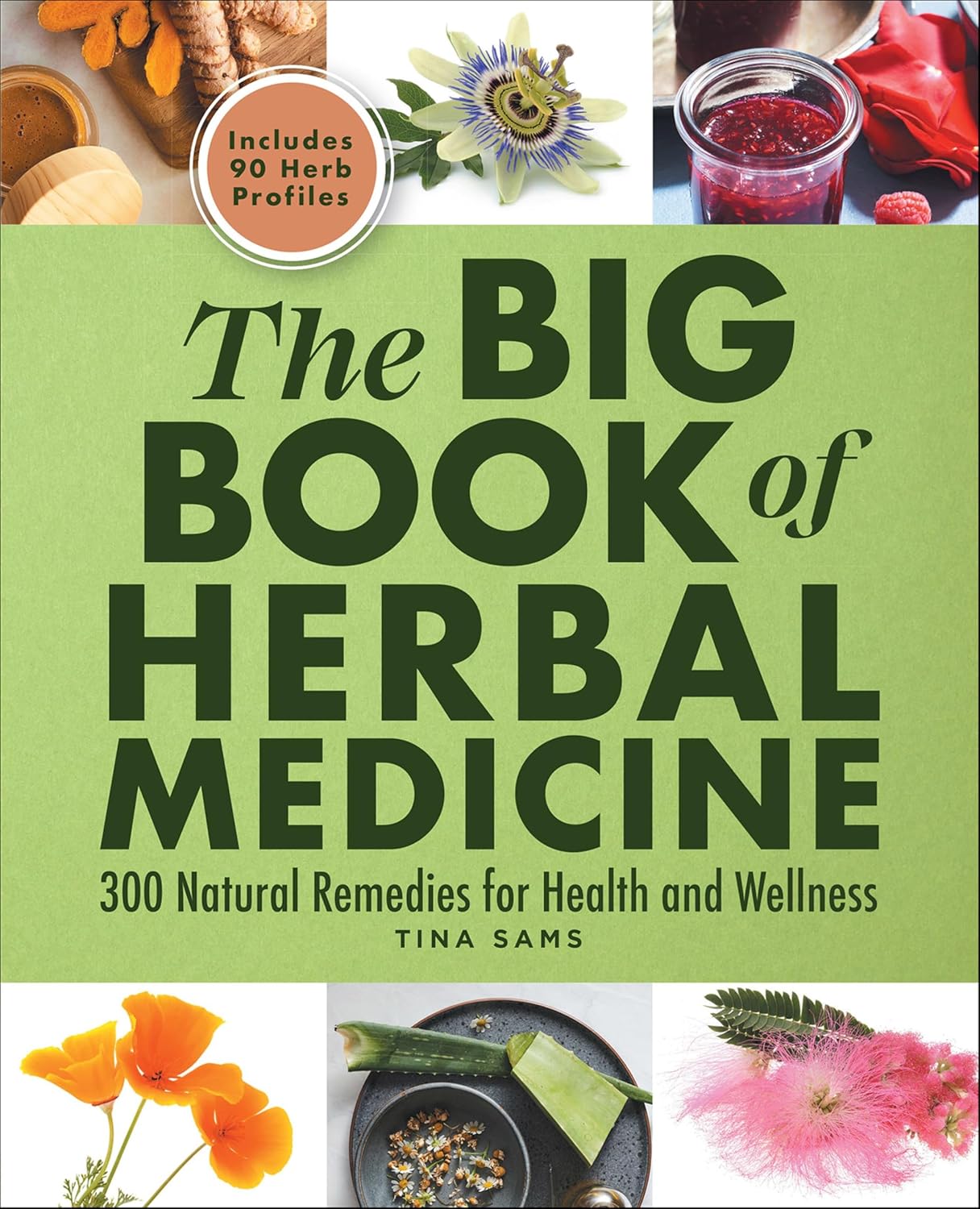 The Big Book of Herbal Medicine by Tina Sams