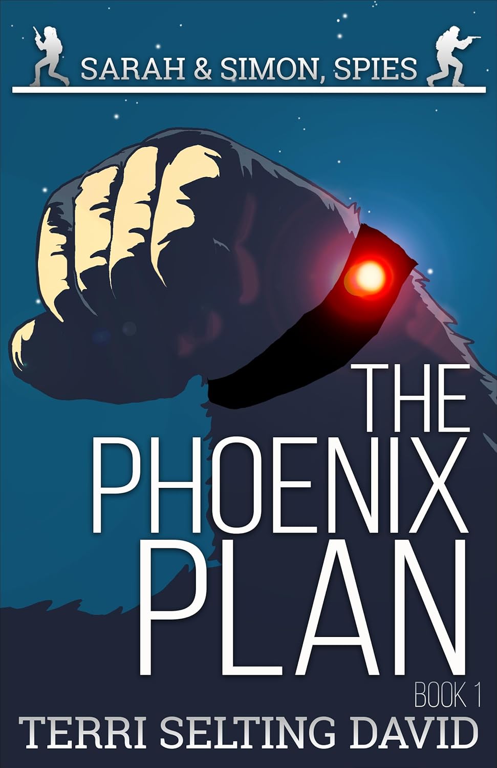 The Phoenix Plan by Terri Selting David