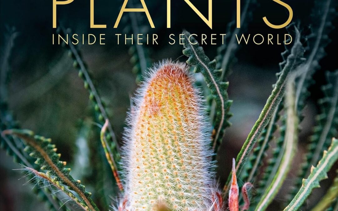 The Science of Plants