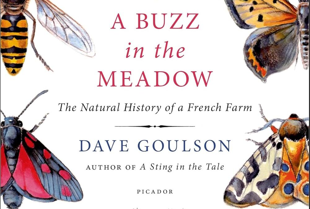 A Buzz in the Meadow
