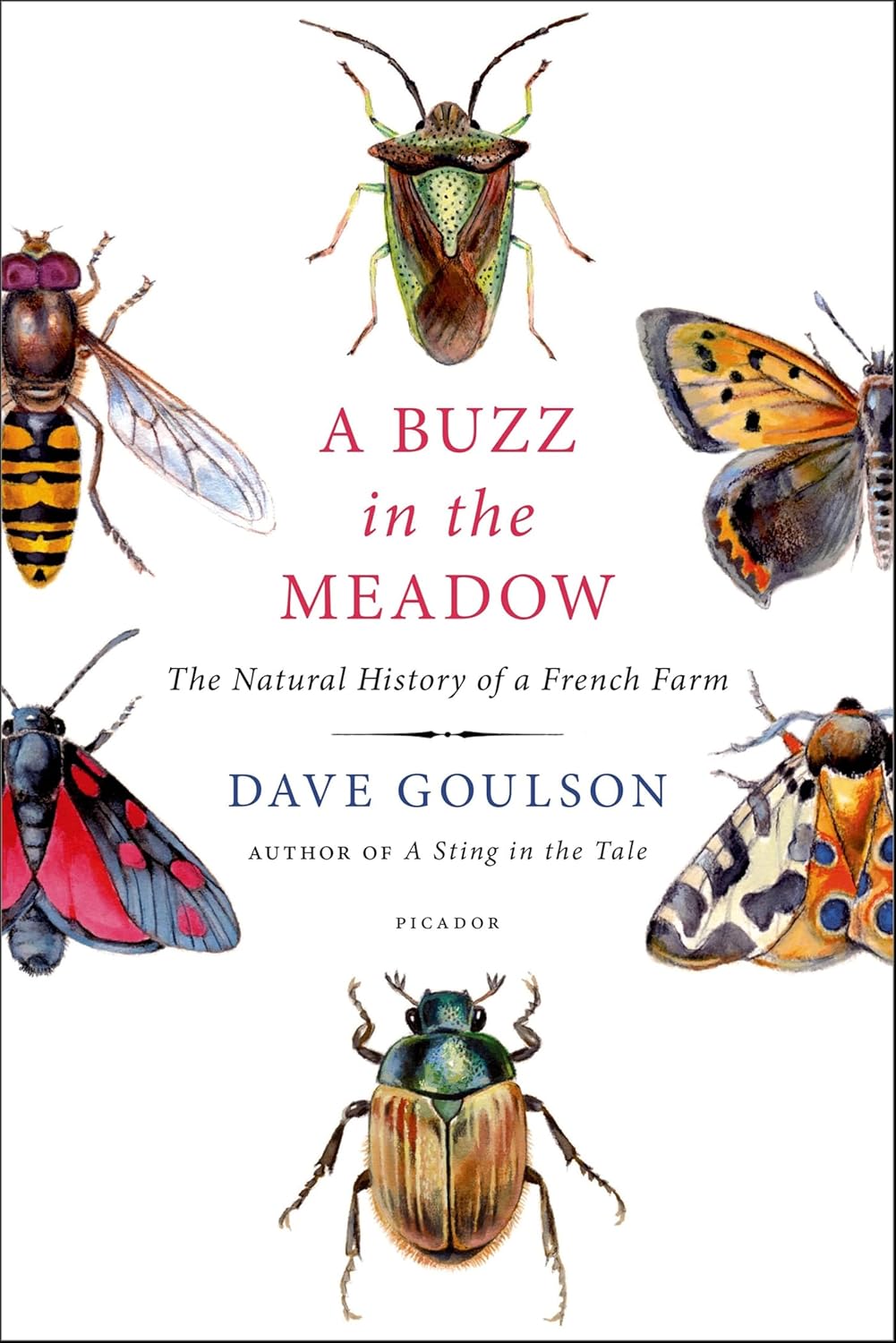 A Buzz in the Meadow by Dave Goulson book cover