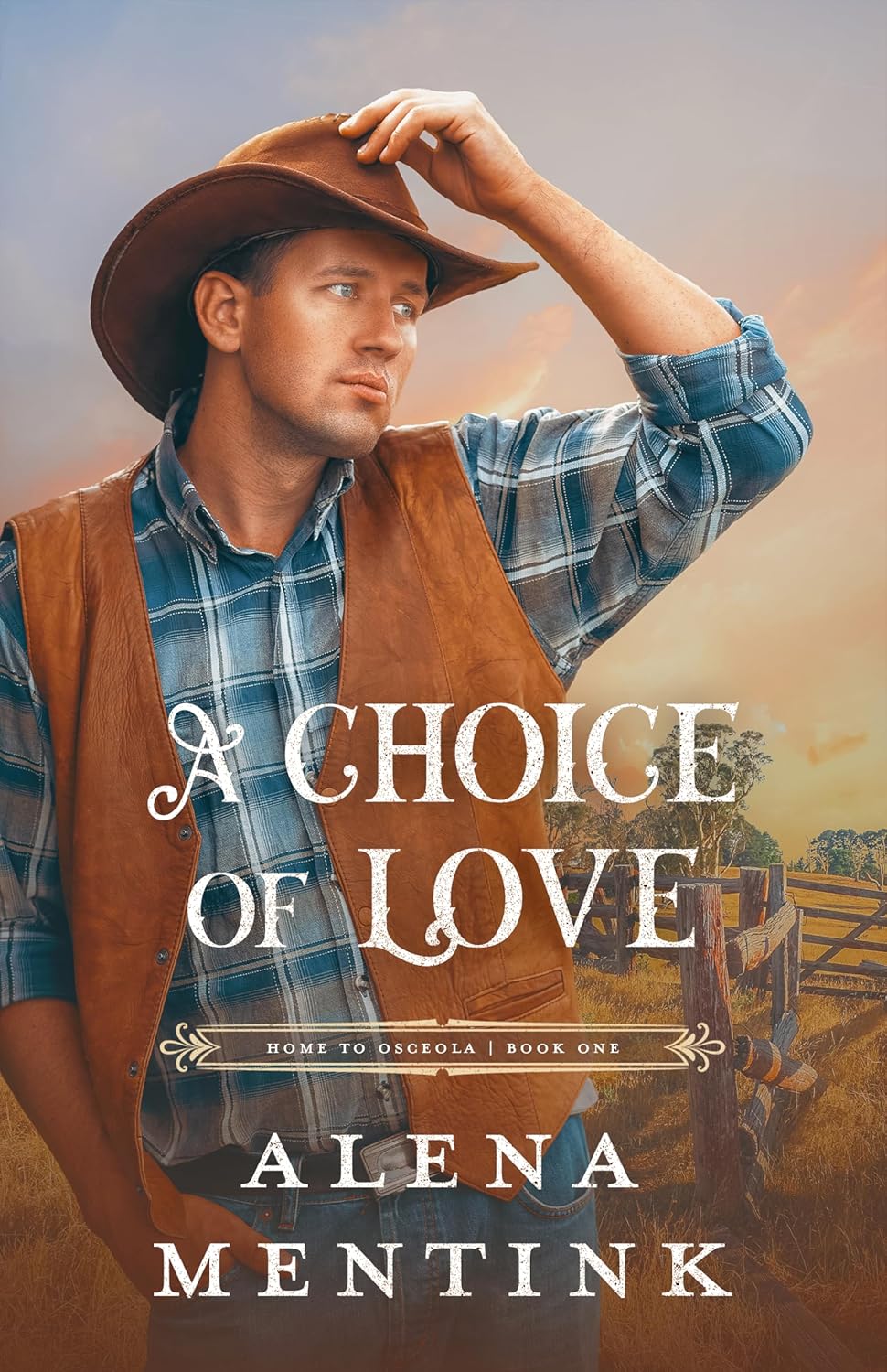 A Choice of Love by Alena Mentink book cover