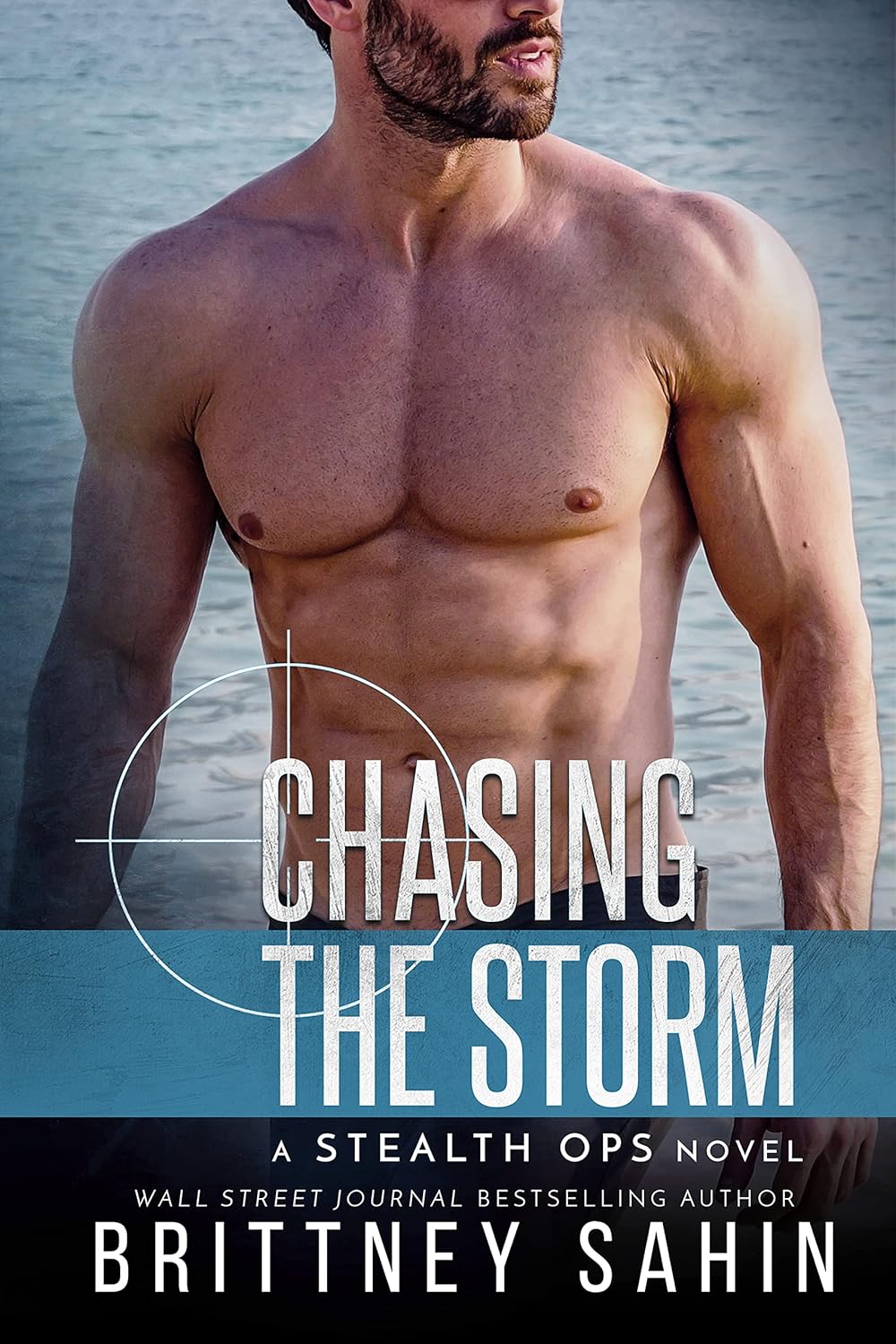 Chasing the Storm by Brittney Sahin book cover