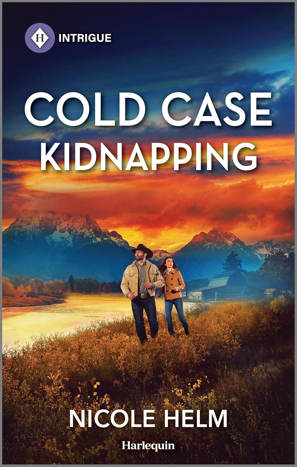 Cold Case Kidnapping by Nicole Helm book cover