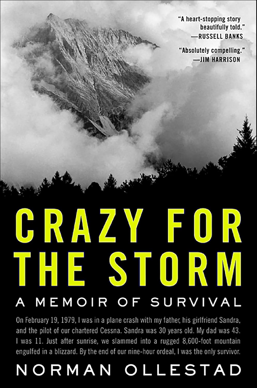 Crazy for the Storm by Norman Ollestad book cover