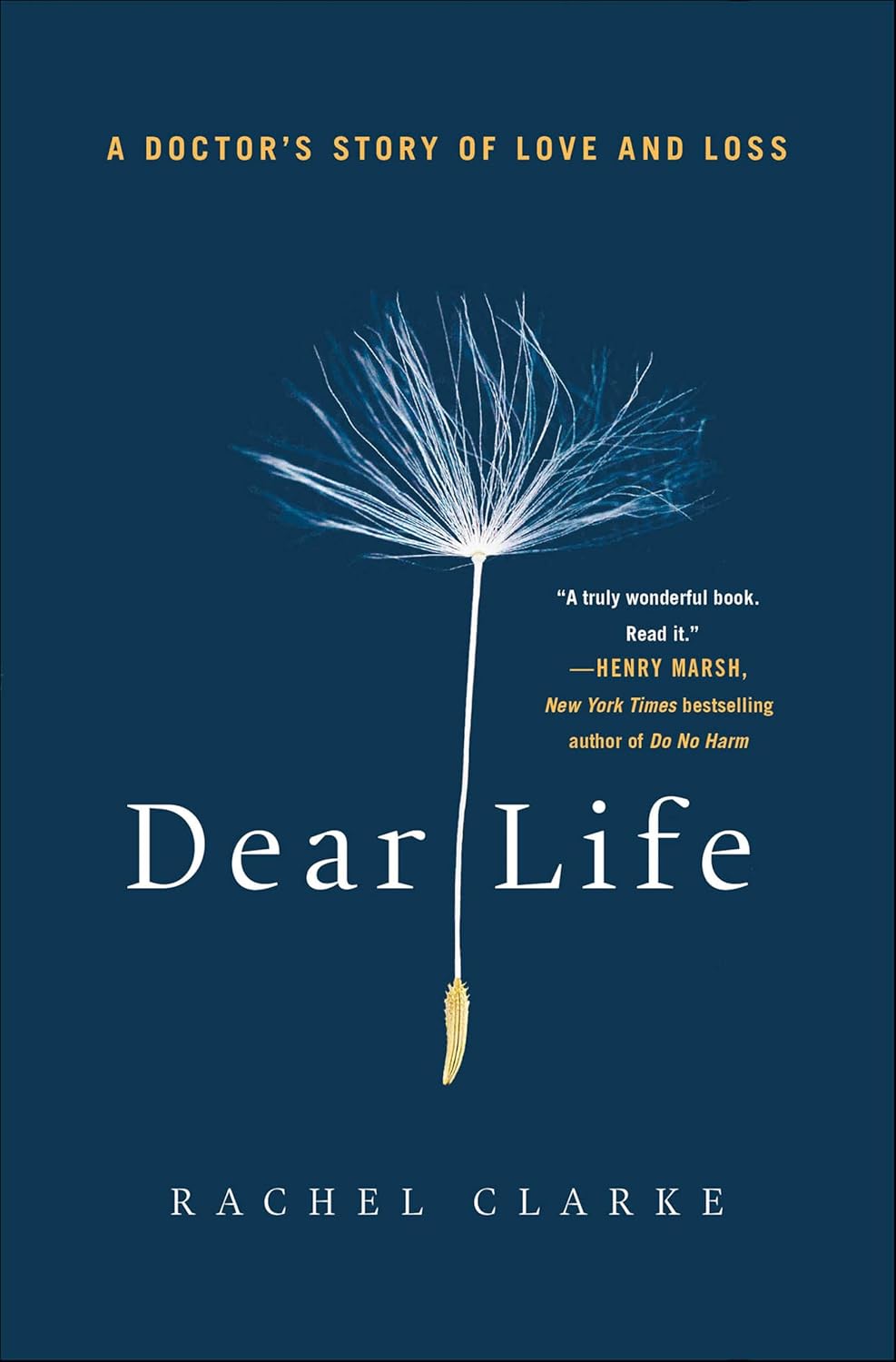 Dear Life by Rachel Clarke book cover