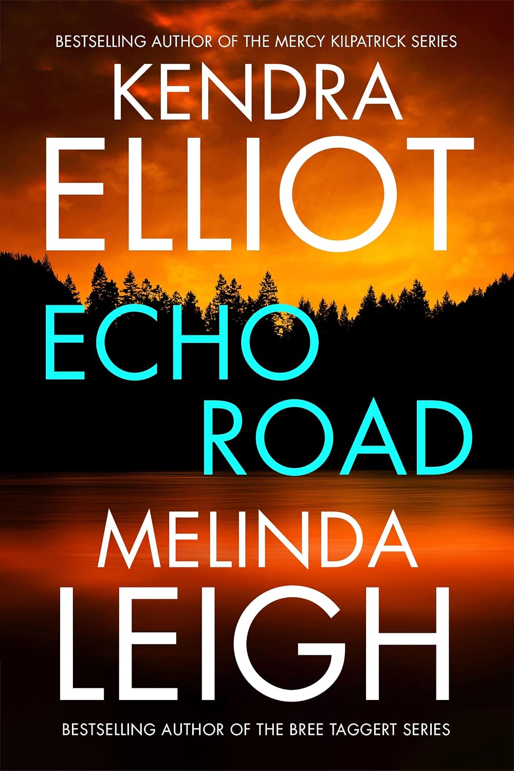 Echo Road by Kendra Elliot book cover