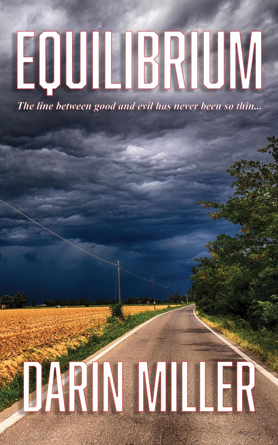 Equilibrium by Darin Miller book cover
