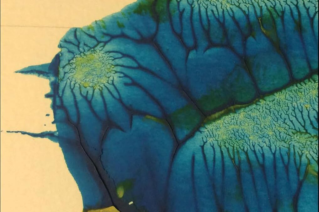 Fractal Worlds