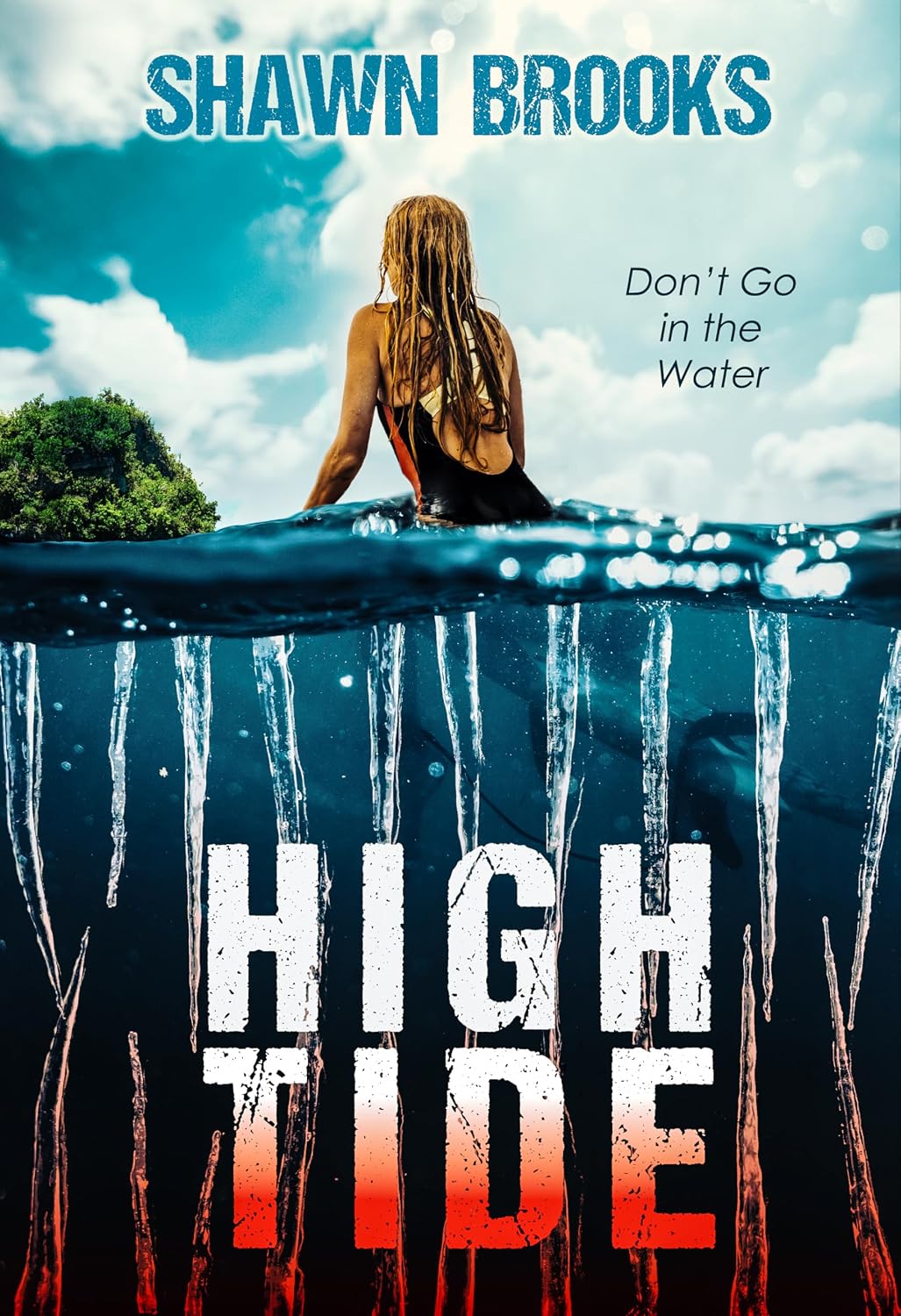 High Tide by Shawn Brooks book cover