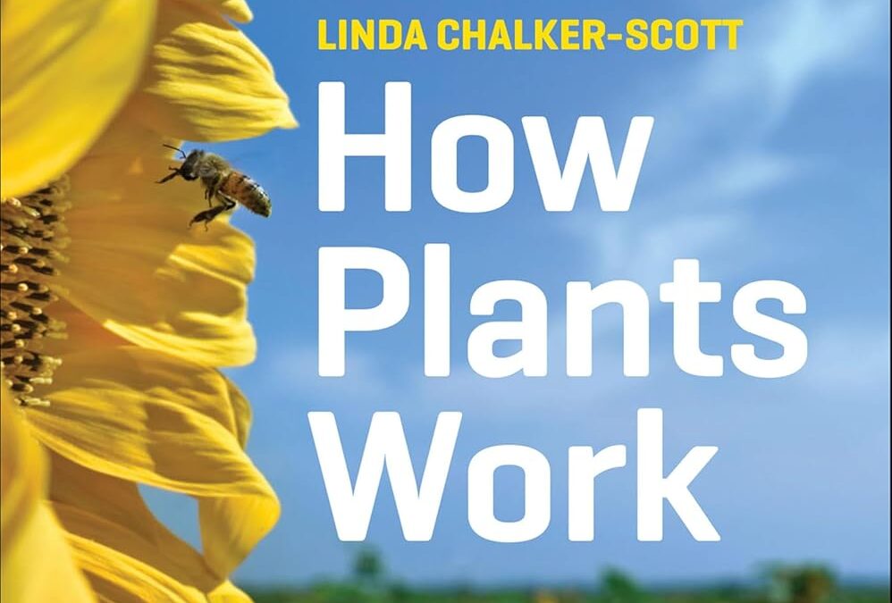 How Plants Work