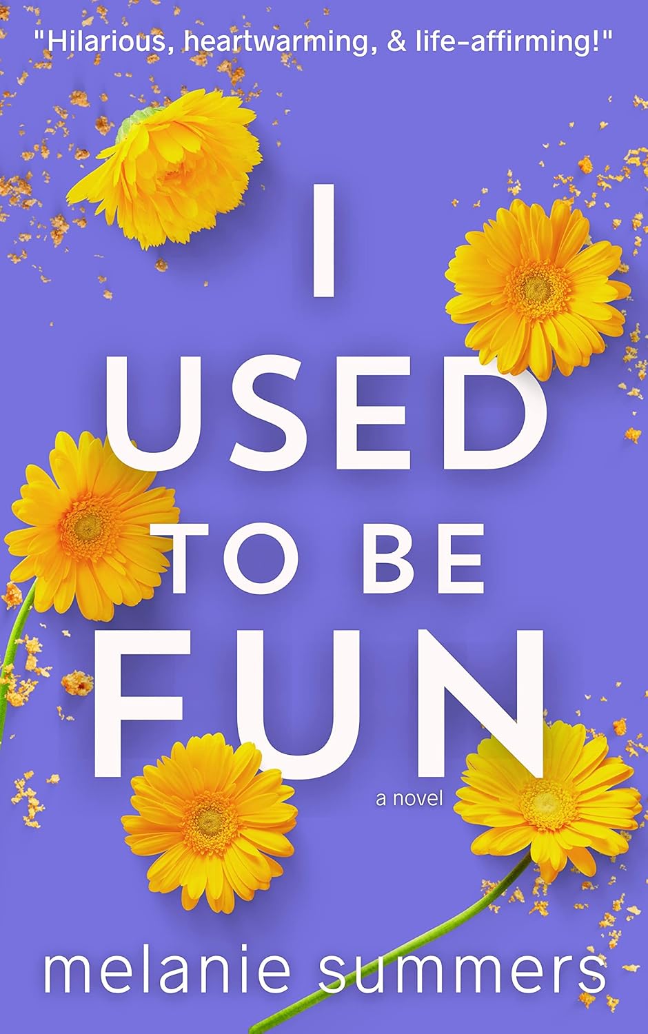 I Used to Be Fun by Melanie Summers book cover