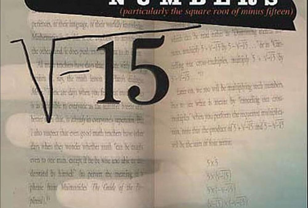 Imagining Numbers