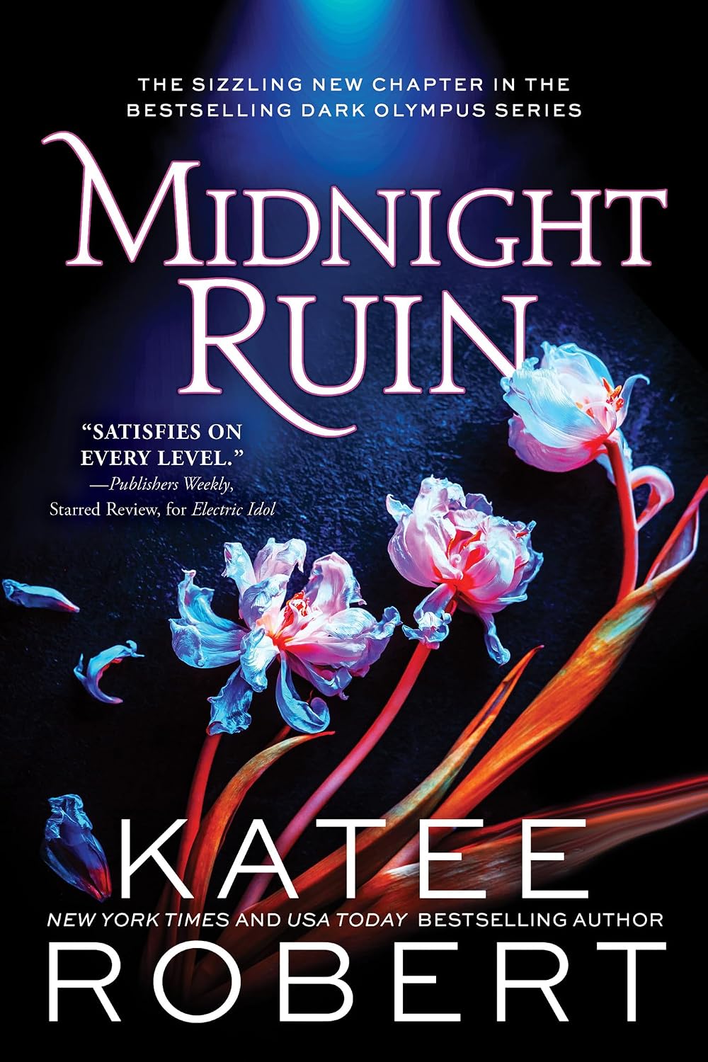 Midnight Ruin by Katee Robert book cover