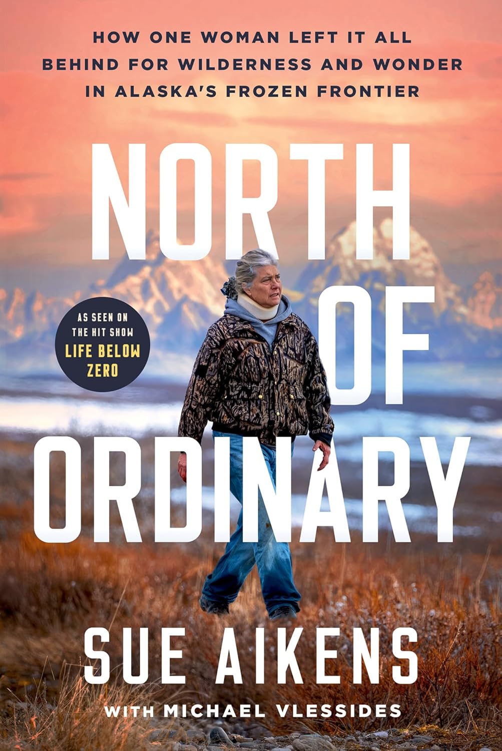 North of Ordinary by Michael Vlessides book cover