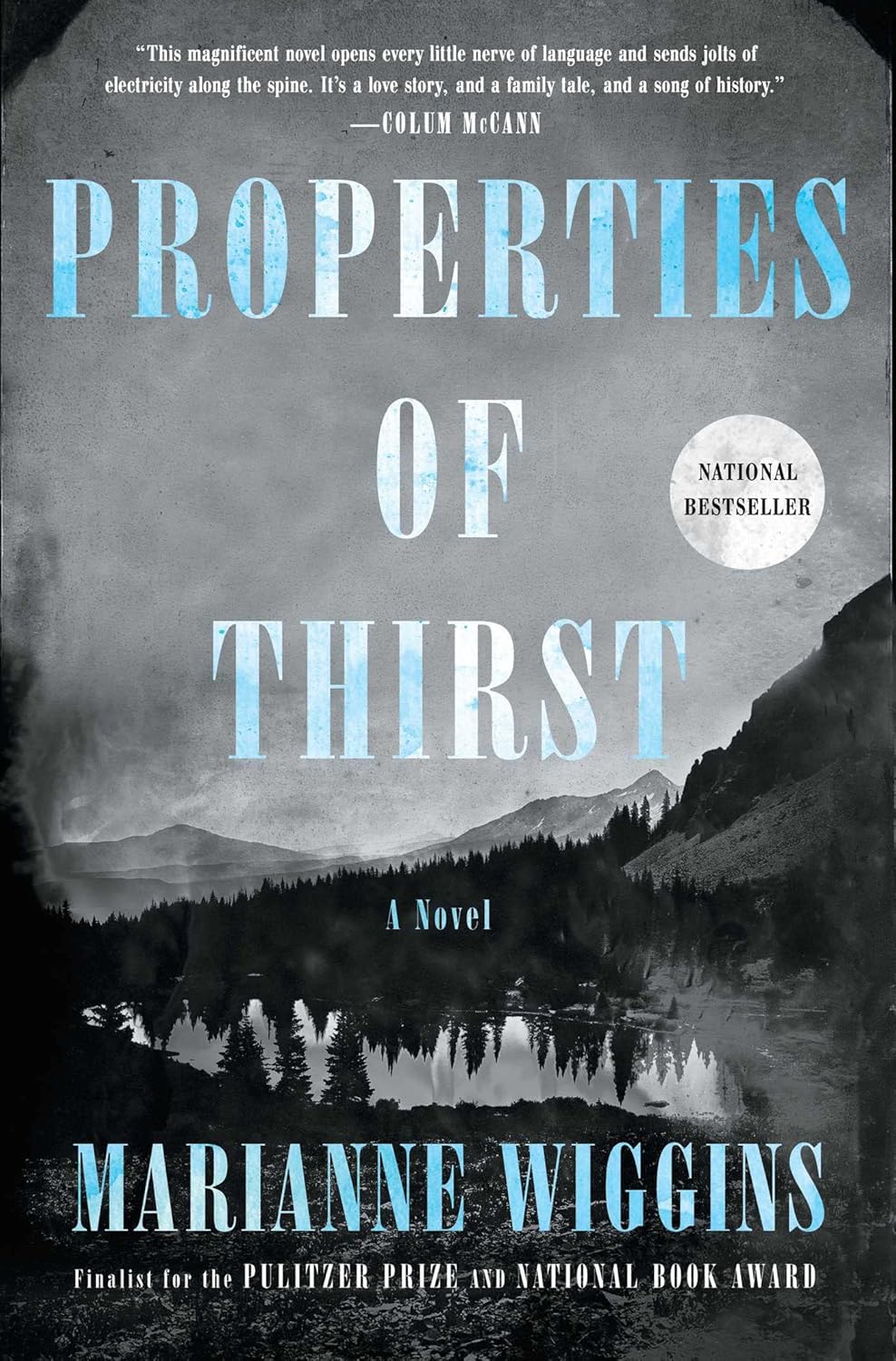 Properties of Thirst by Marianne Wiggins book cover