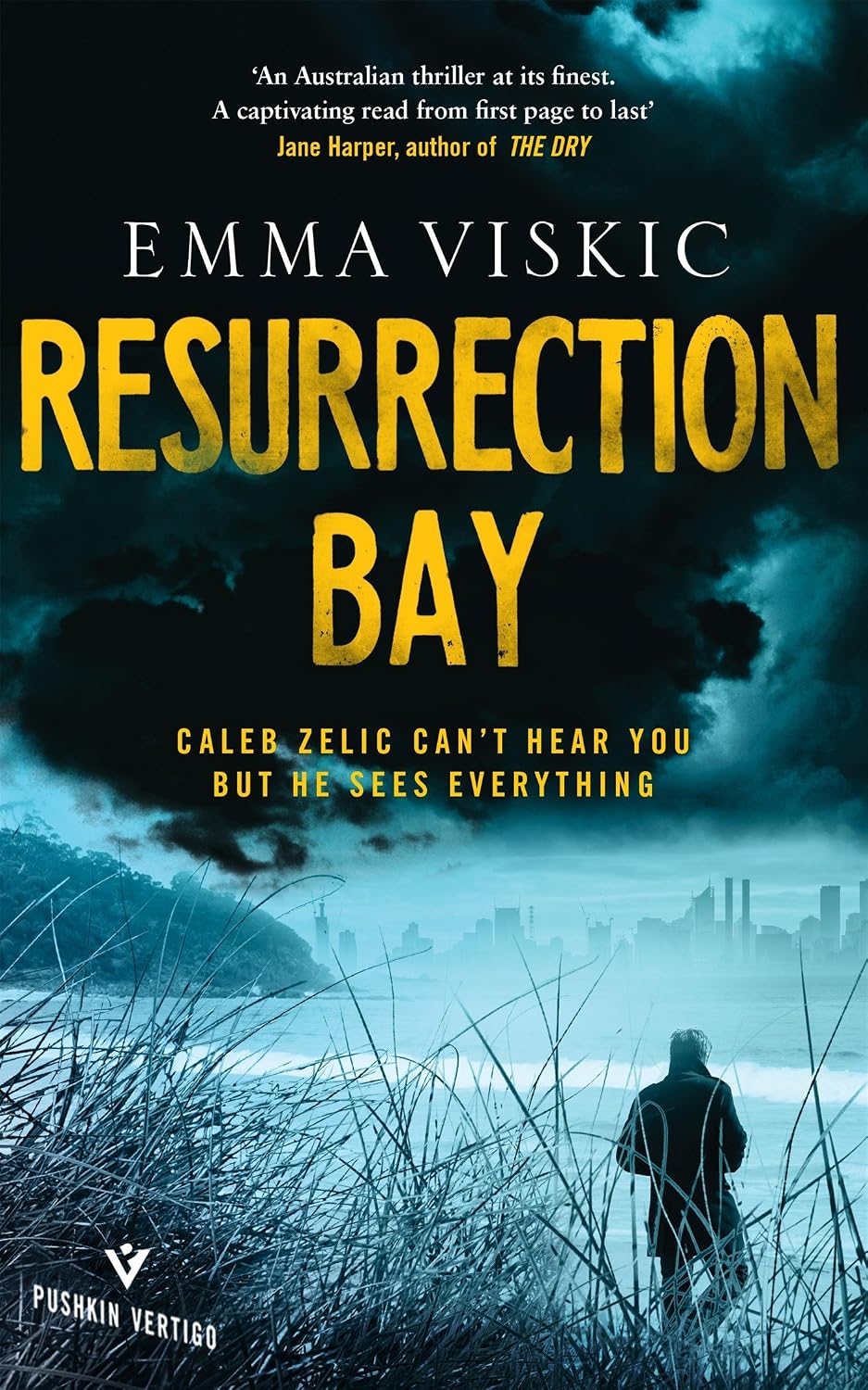 Resurrection Bay by Emma Viskic book cover