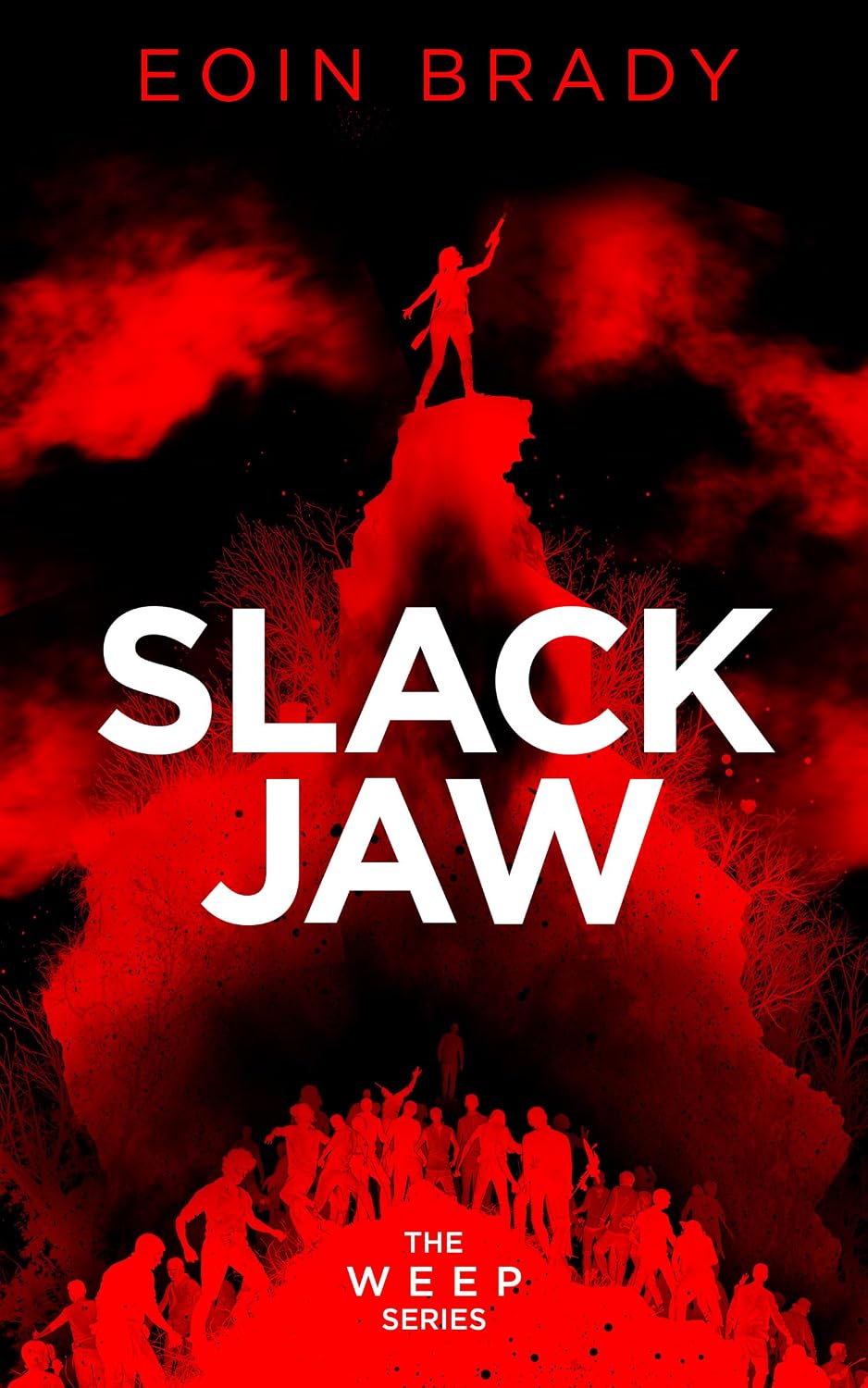 Slack Jaw by Eoin Brady book cover