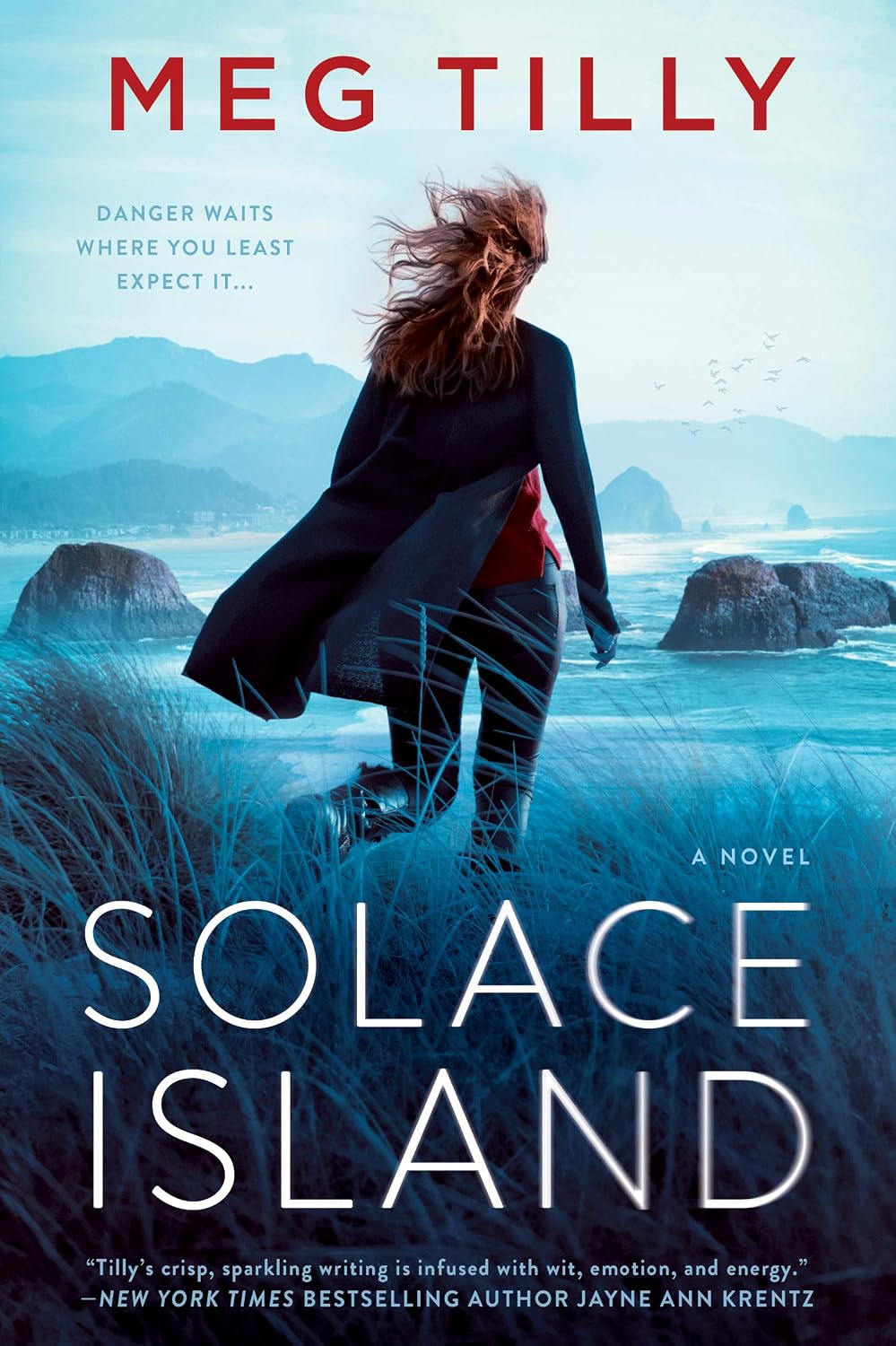 Solace Island by Meg Tilly book cover