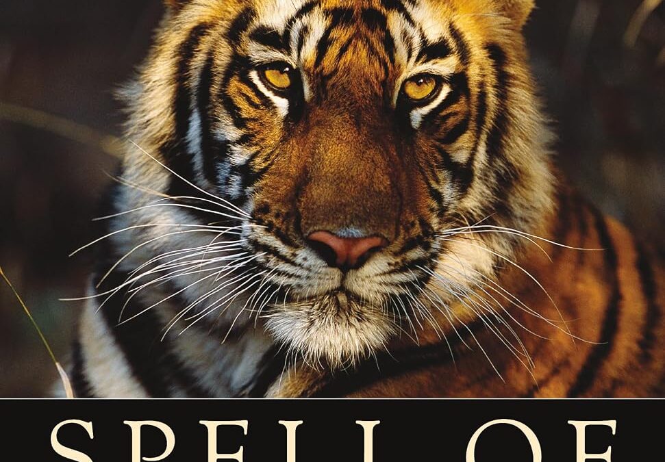 Spell of the Tiger