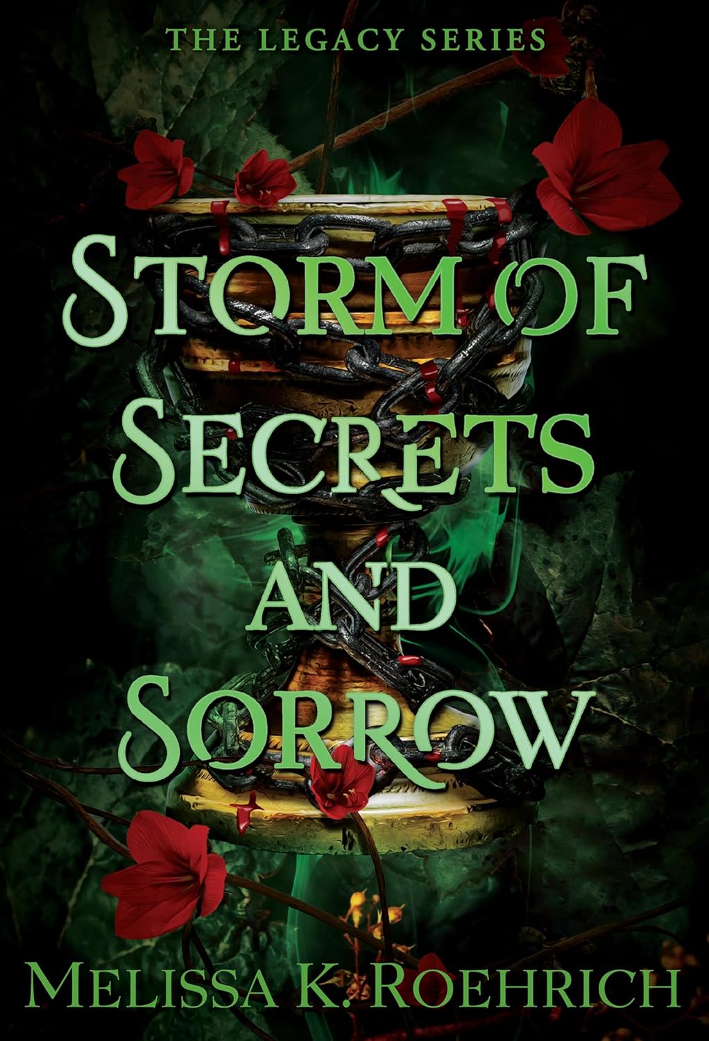 Storm of Secrets and Sorrow by Melissa K. Roehrich book cover