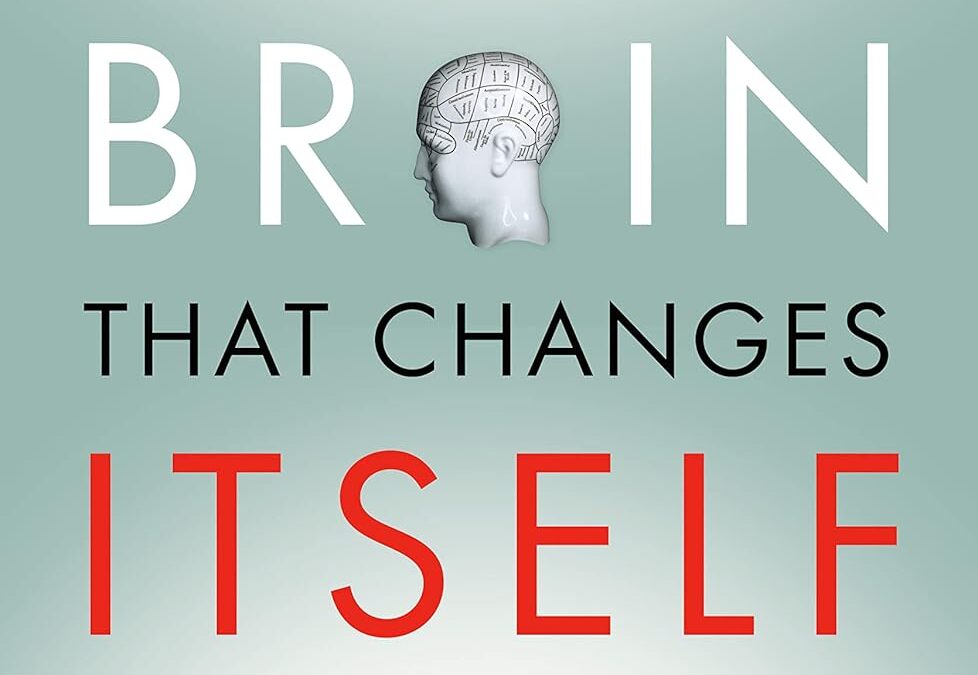 The Brain That Changes Itself