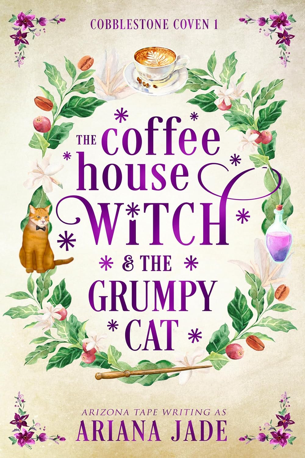 The Coffee House Witch & The Grumpy Cat by Arizona Tape book cover