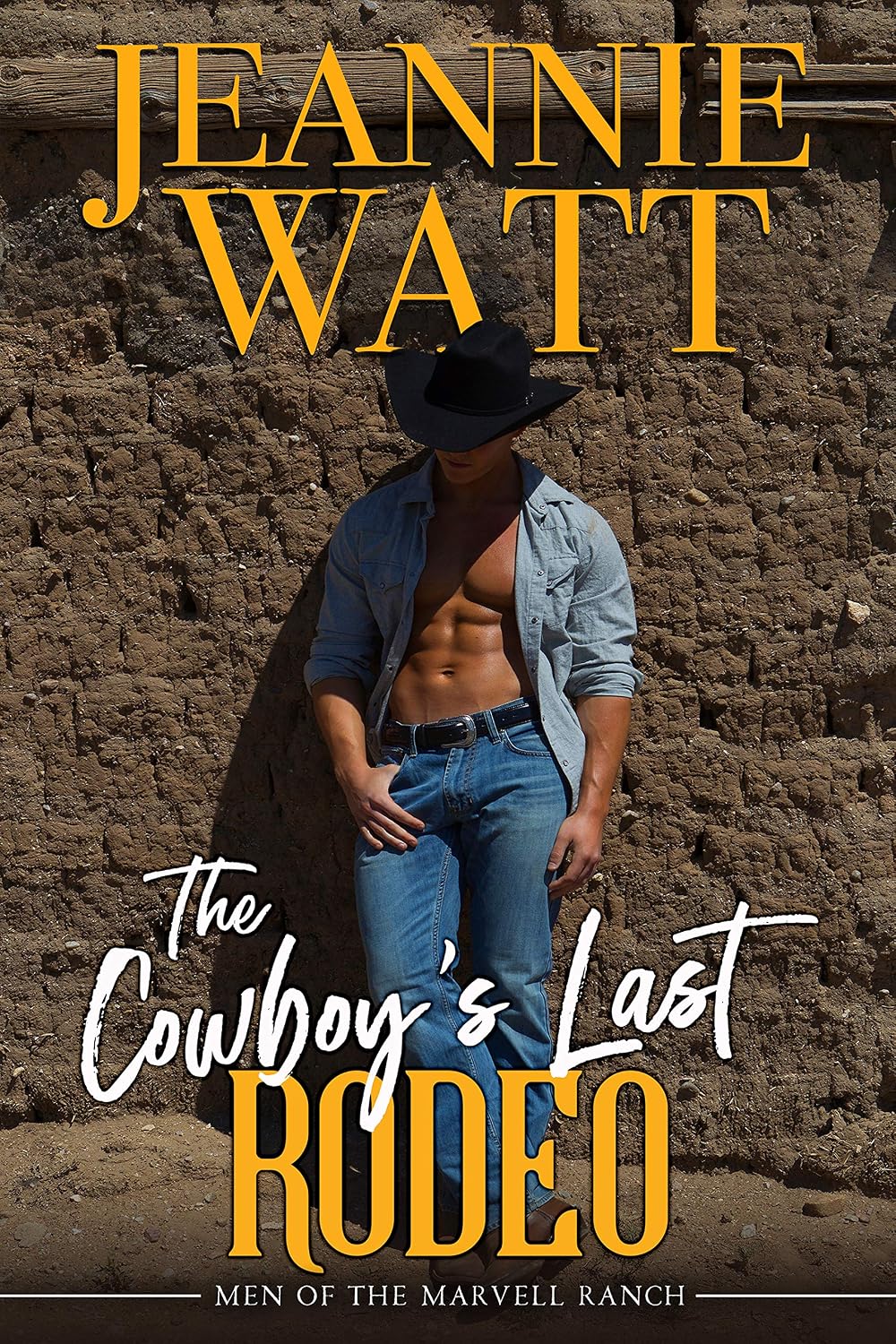 The Cowboy’s Last Rodeo by Jeannie Watt book cover