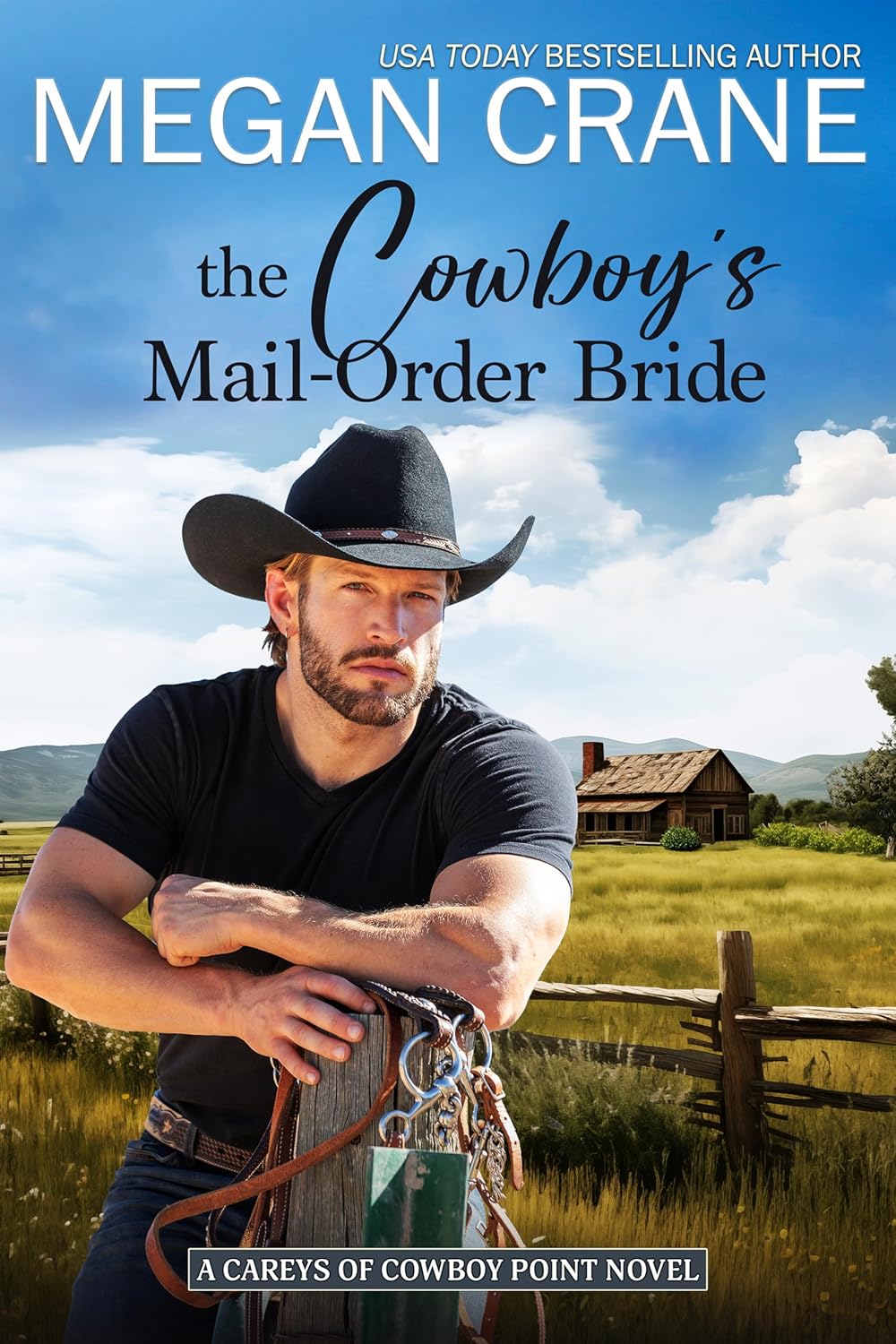 The Cowboy’s Mail-Order Bride by Megan Crane book cover