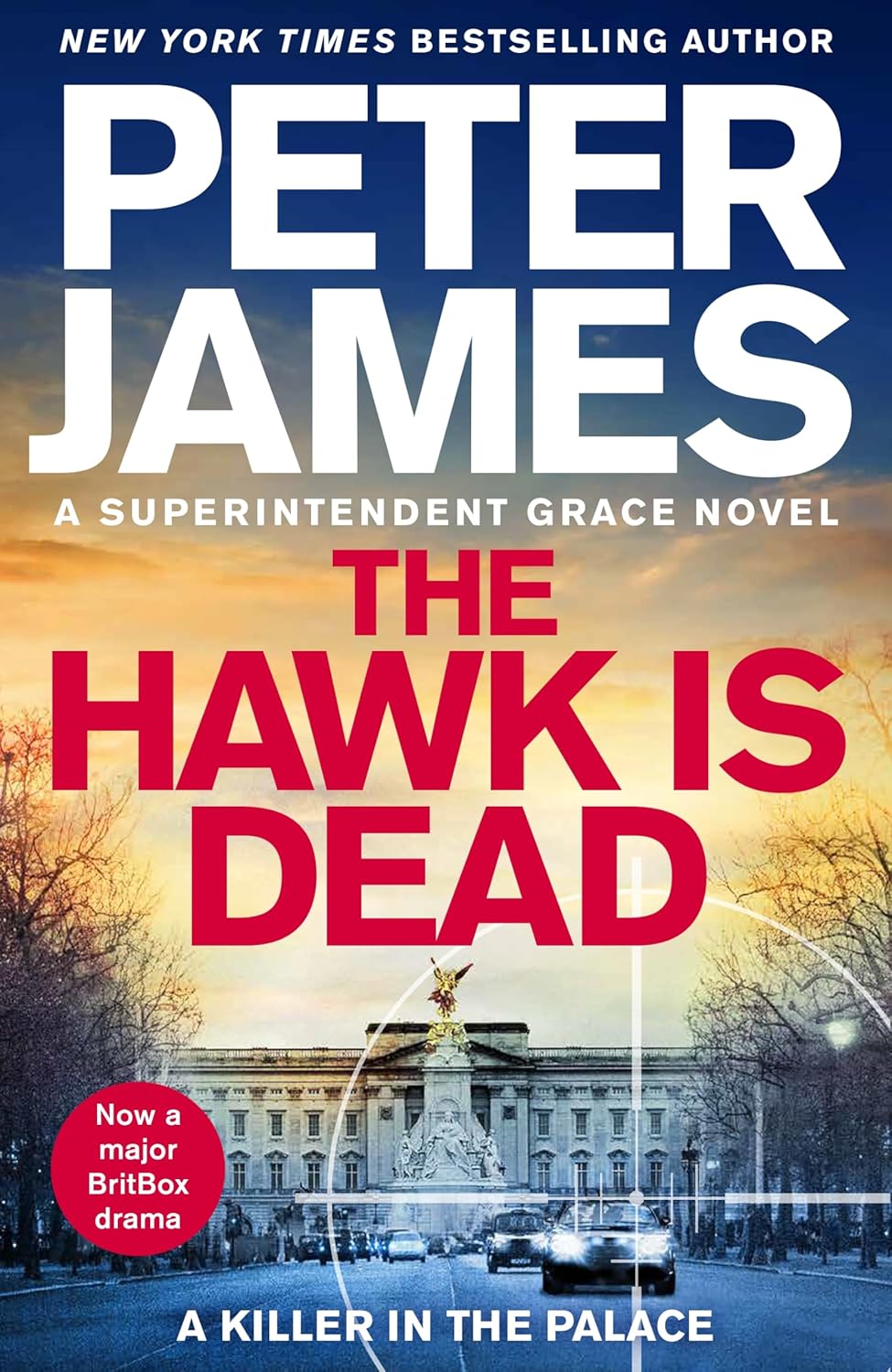 The Hawk Is Dead by Peter James book cover