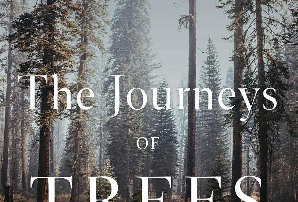 The Journeys of Trees